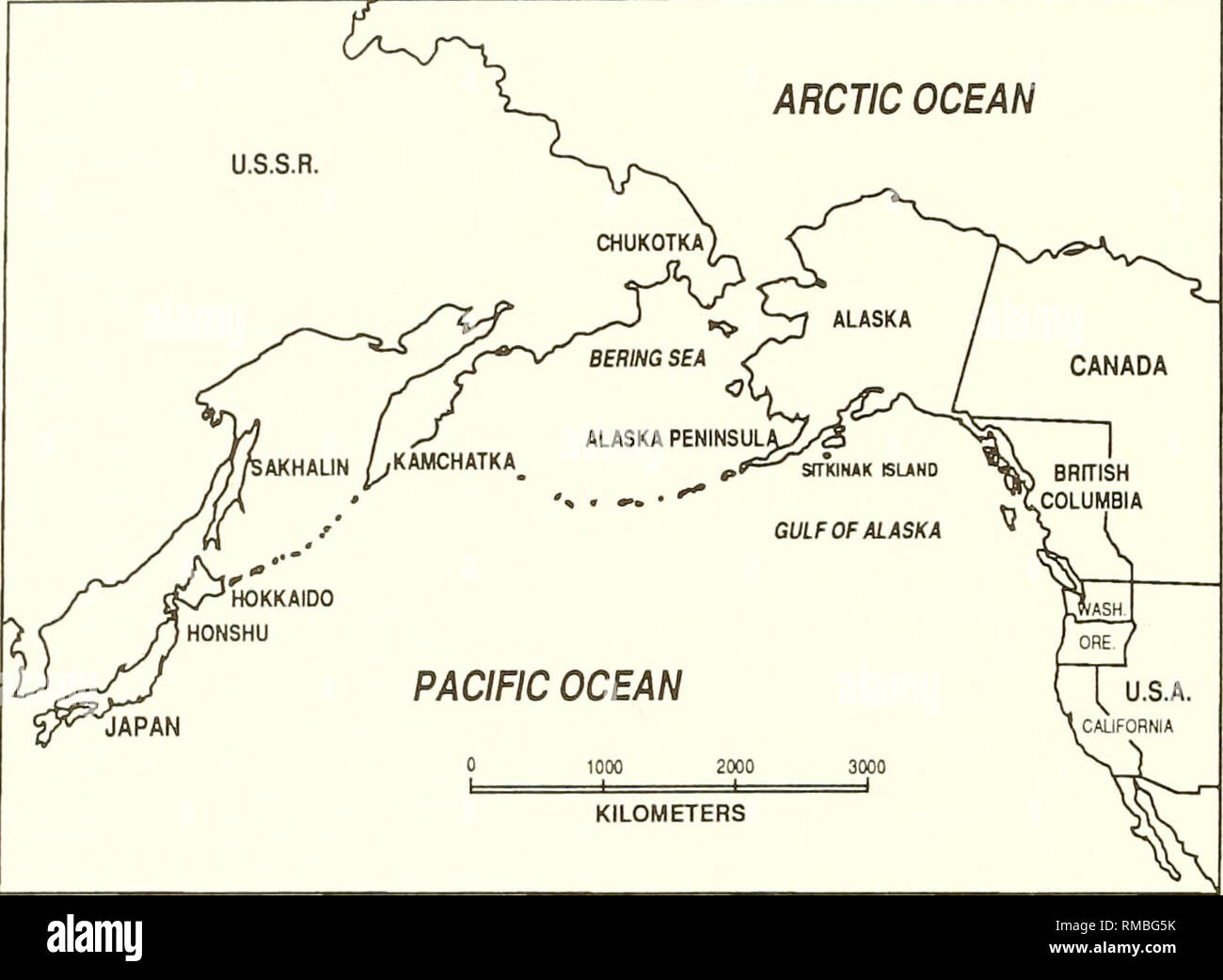 . Annual report - Western Society of Malacologists. Mollusks; Mollusks. Origin of the Modern Gulf of Alaska Cold-Water Molluscan Fauna. ARCTIC OCEAN. KILOMETERS Figure 1. Index map showing location of the Gulf of Alaska. PLIOCENE AND PLEISTOCENE MOLLUSCS IN MARINE TRANSGRESSIONS OF WESTERN AND NORTHERN ALASKA Louie Marincovich, Jr. and Charles L. Powell, II U.S. Geological Survey 345 Middlefield Road Menio Park, CA 94025 Introduction Pliocene and Pleistocene marine deposits mantle coastal areas of western and northern Alaska from the Bering Strait region north- and eastward to the Cana- dian b Stock Photo