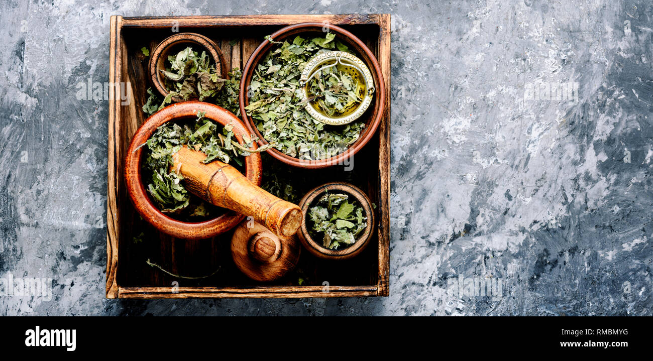 Dry leaves of coltsfoot on wooden background.Tussilago farfara.Herbal medicine Stock Photo