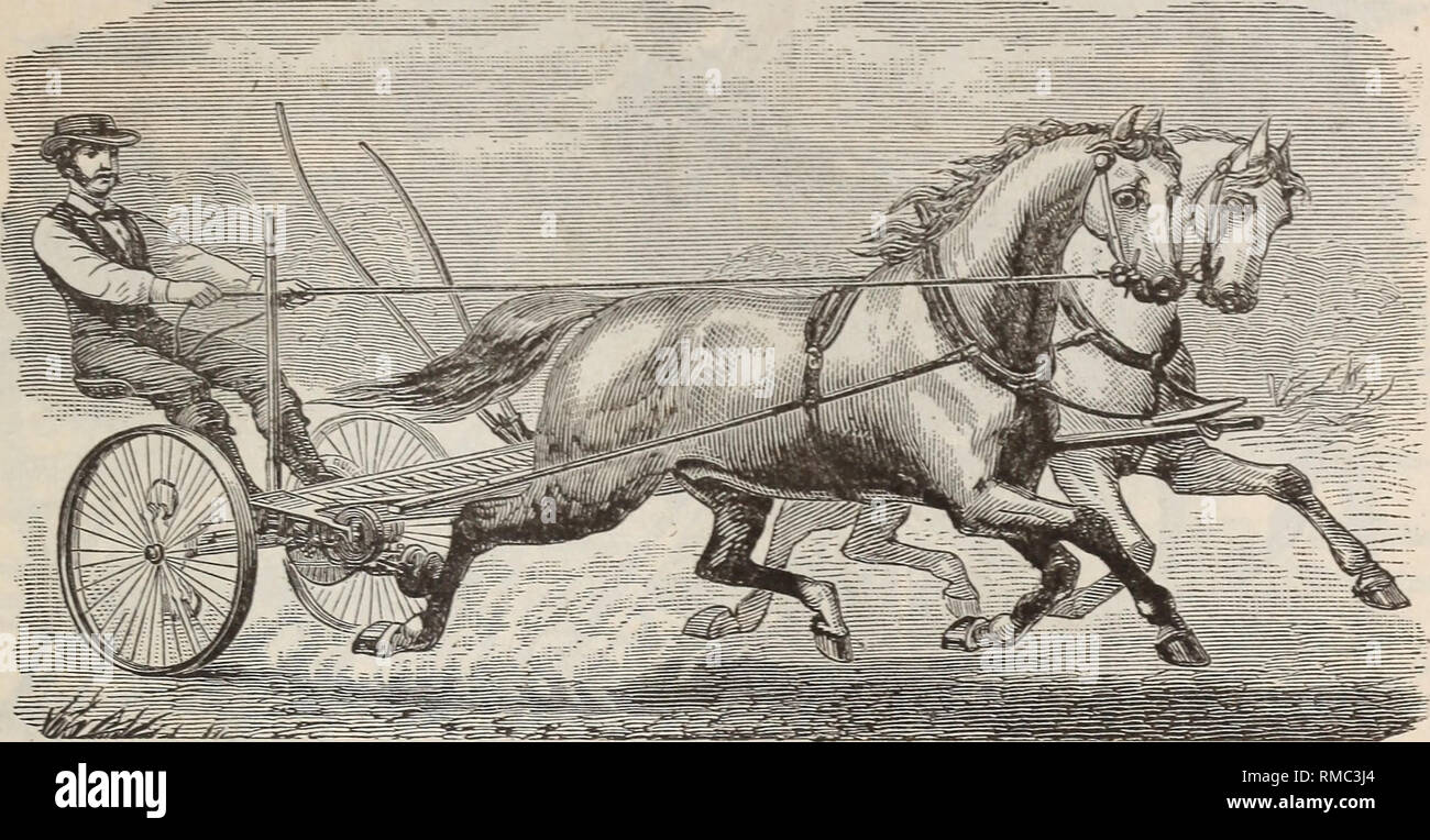 Buckeye mower hires stock photography and images Alamy