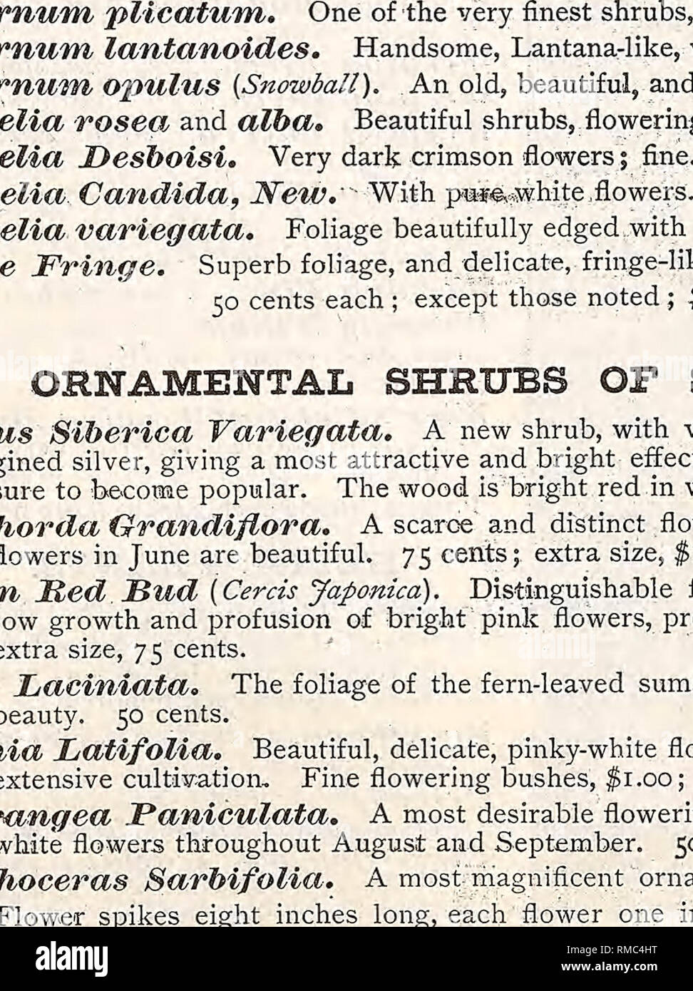 . Annual illustrated, descriptive catalogue of seeds, plants, vines, small fruits. Nurseries (Horticulture); Nursery stock; Vegetables; Seeds; Flowers; Shrubs; Ornamental trees; Fruit trees; Gardening; Equipment and supplies; Parker &amp; Wood (Firm). Srnamental Irees. OUR NURSERY STOCK CANNOT HE SURPASSED IN QUALITY, AND THE PKICES ARE LOW FOR SUCHv &quot; WEEPING- TREES. Weeping Mountain Ash {Pyms sorbus pendula). Weeping Beech {Fagus pendula). Weeping Birch {Betula alba pendula). Weeping Cherry {Cerasus Pumela). pendtdd). 5 Weeping Willotv {Salixpendula). Kilmarnock Willotv {Salix caprea pe Stock Photo