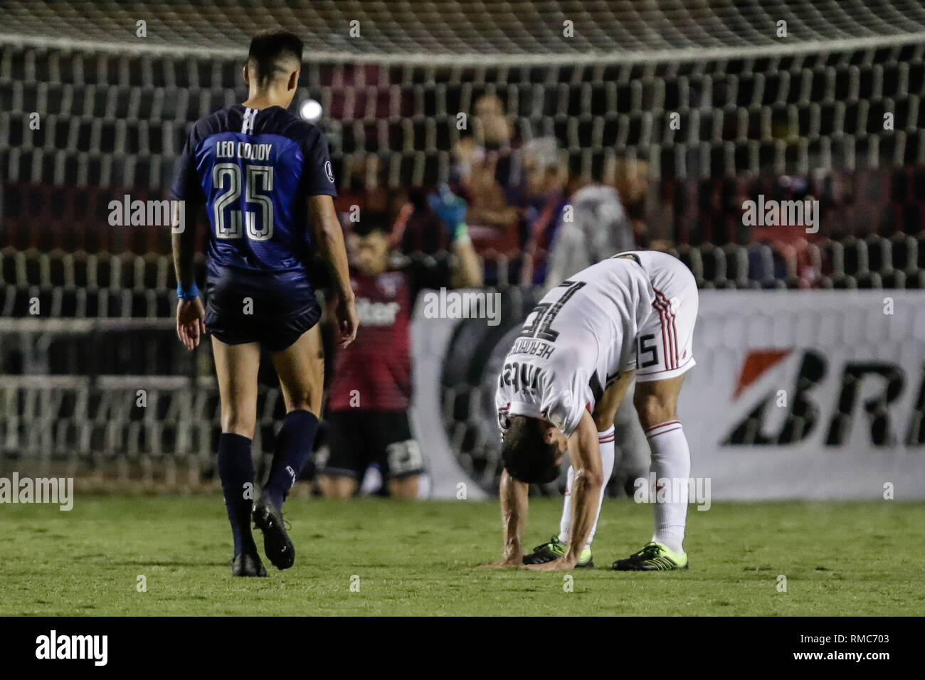 Sao Paolo, Brazil. 13th Feb, 2019. Hernanes during the match between Sao Paulo and Talleres (ARG), a match valid for the Copa Libertadores of America 2019. Credit: Thiago Bernardes/Pacific Press/Alamy Live News Stock Photo