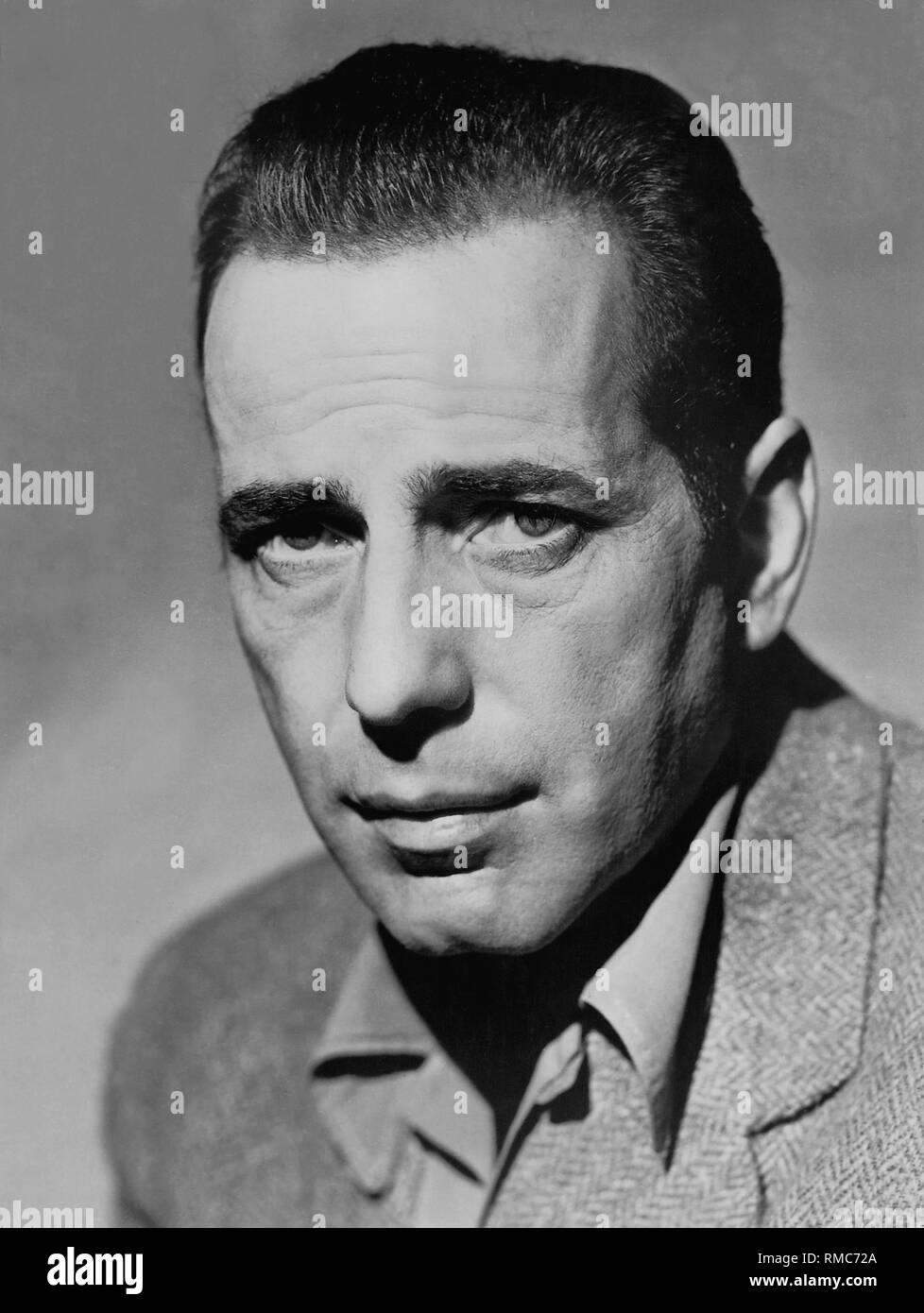 Bogart portrait hires stock photography and images Alamy