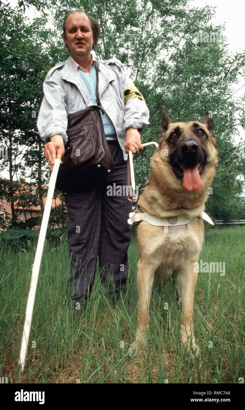 Feature: guide dog with master Stock Photo