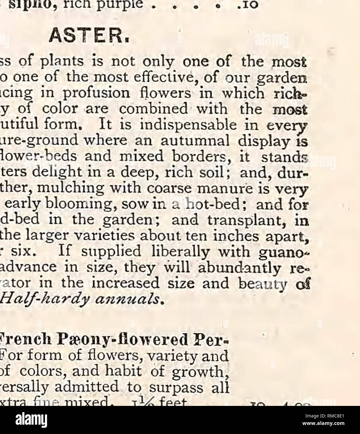 . Annual illustrated, descriptive catalogue of seeds, plants, vines, small fruits. Nurseries (Horticulture); Nursery stock; Vegetables; Seeds; Flowers; Shrubs; Ornamental trees; Fruit trees; Gardening; Equipment and supplies; Parker &amp; Wood (Firm). ASTER — Cotttinued. pkt. 33. Truffaut's Pseony-flowered Perfection. Collection containing 6 distinct colors . .40 84. Cockade, or Crown. The flowers are very double, with beautiful white centres, bor- dered with crimson, scarlet, violet or blue, making the.n very attractive. Mixed. ft • -IO 35. Cockade, or Crown, Collection contam- V'% 6 distinct Stock Photo