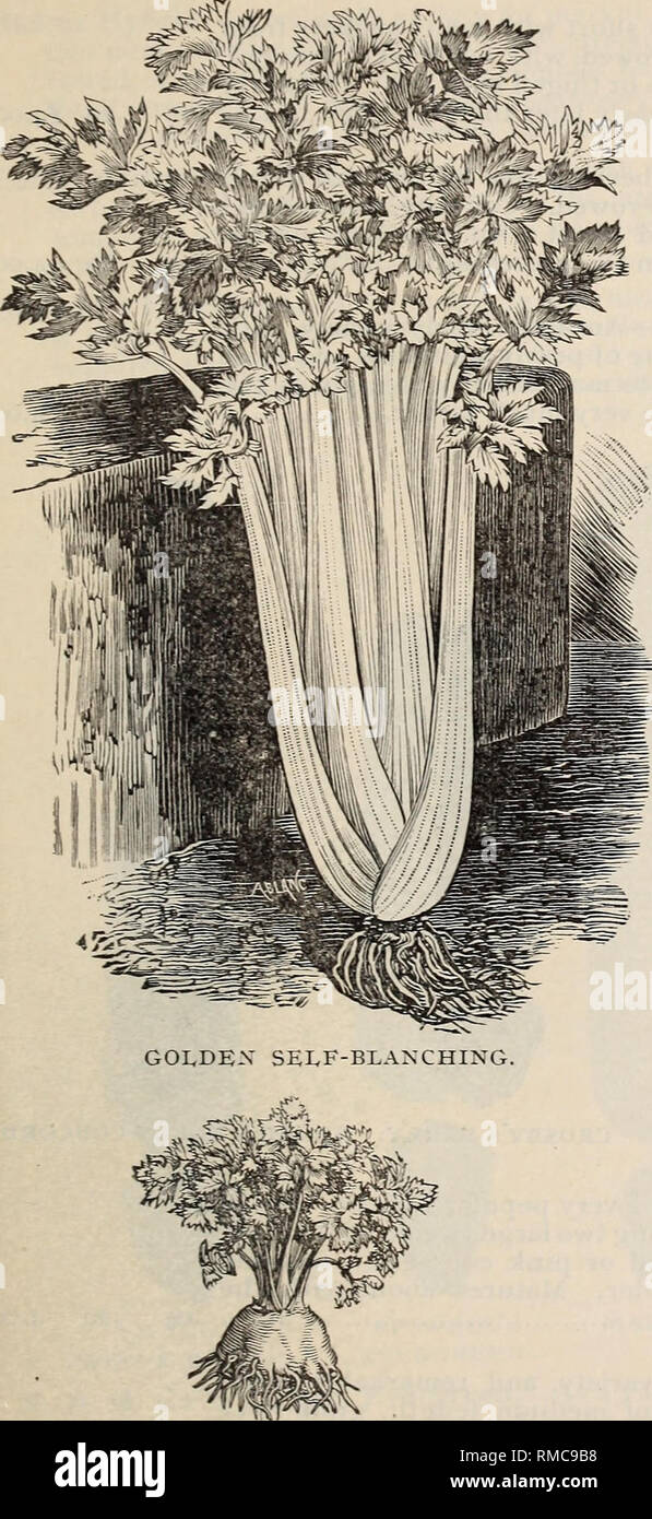 . Annual illustrated catalogue of seeds. Nurseries (Horticulture