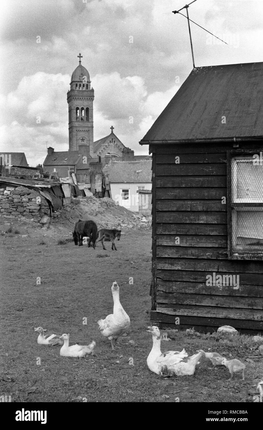 Limerick 1970s St Marys Catholic church County Limerick 1979 Eire HOMER SYKES Stock Photo