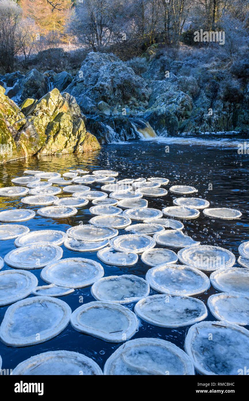 Ice pancakes at Pool Ness waterfall, Big Water of Fleet, Dumfries & Galloway, Scotland Stock Photo