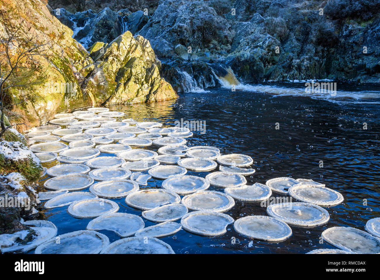 Ice pancakes at Pool Ness waterfall, Big Water of Fleet, Dumfries & Galloway, Scotland Stock Photo