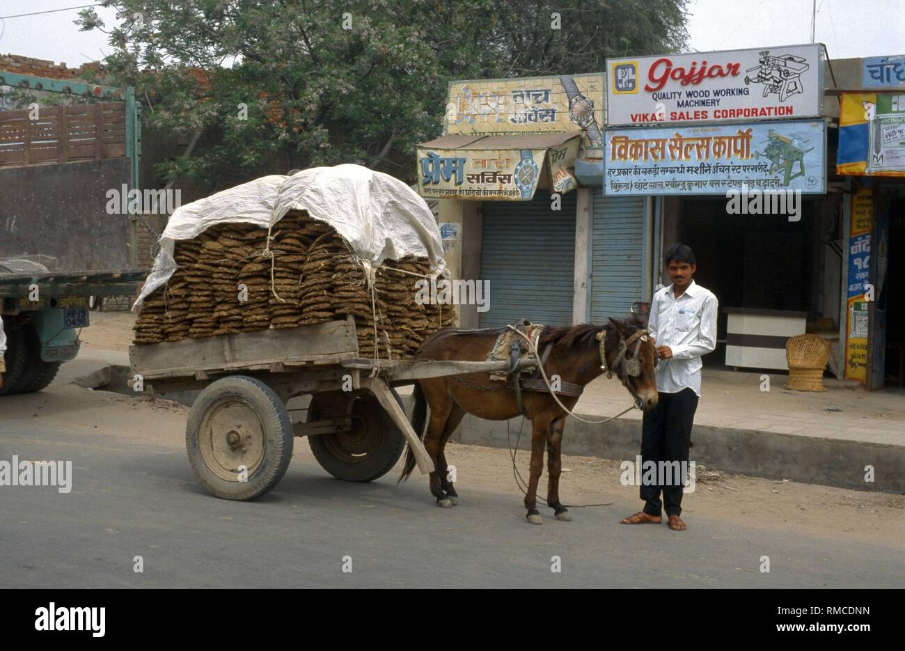 The man with the donkey cart sells dried cow dung in the cities. Cow pies are the only combustible material to cook food. Stock Photo