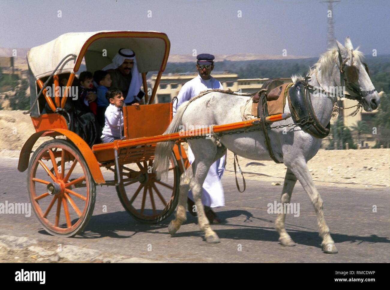 One-horse carriage on the road in the Egyptian city of Giza Stock Photo -  Alamy