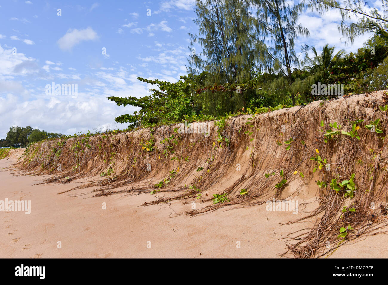 Coastal erosion Cairns Australia Stock Photo