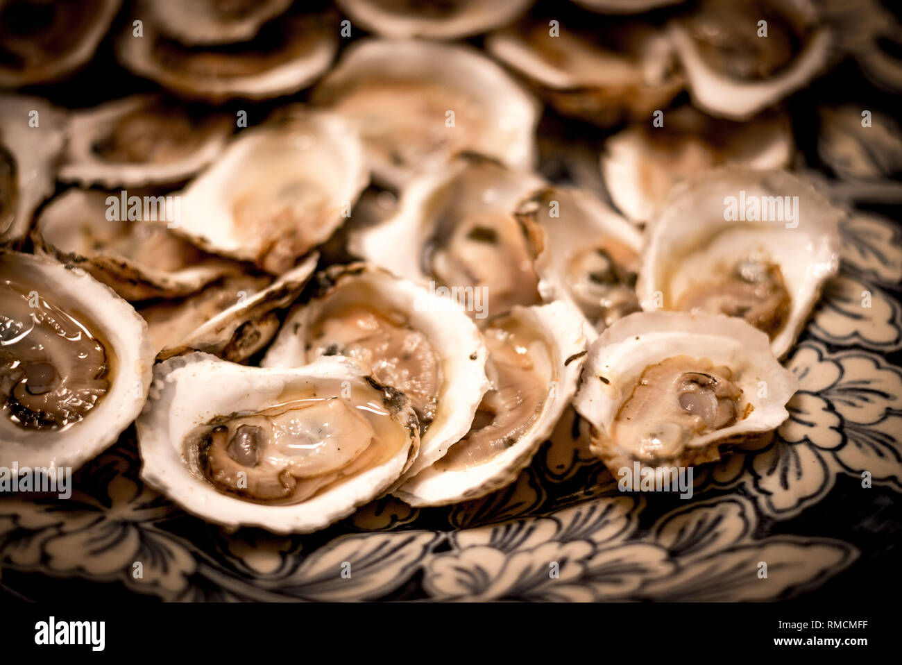 Shucked Oysters Stock Photo