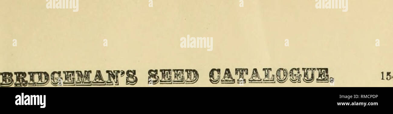 . Annual descriptive catalogue of seeds.. Vegetables, Seeds, Catalogs; Flowers, Seeds, Catalogs; Grasses, Seeds, Catalogs; Herbs, Seeds, Catalogs. G-RASS SEED, continued. $ Ct9. English Rye Grass.. ^ bush. 3 50 Lolium p(!reune. RoughStalked Meadow^ lb. 50 Poa trivlalia. Wood Meadow Grass... &quot; 50 Poa nemoralls. Kentucky Blue, Extra clean, 14 lbs... .about bush. 2 25 Poa pratensls. Fine Mixed Lawn Grass &quot; 3 75 *ExtraFine Mixed Lawn Grass &quot; 4 50 French, or Central Park Grass. CLOVERS. &lt;P lb. cts. Red Clover, price variable, about White Clover&quot; &quot; &quot; 50 Yellow Clover Stock Photo