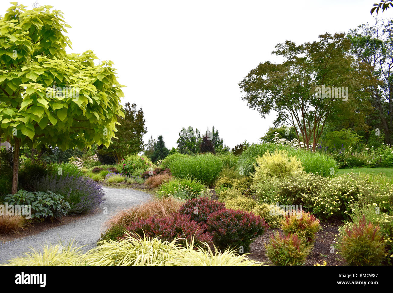 Bellevue Botanical Garden, Bellevue, Washington, in Washington state, USA Stock Photo