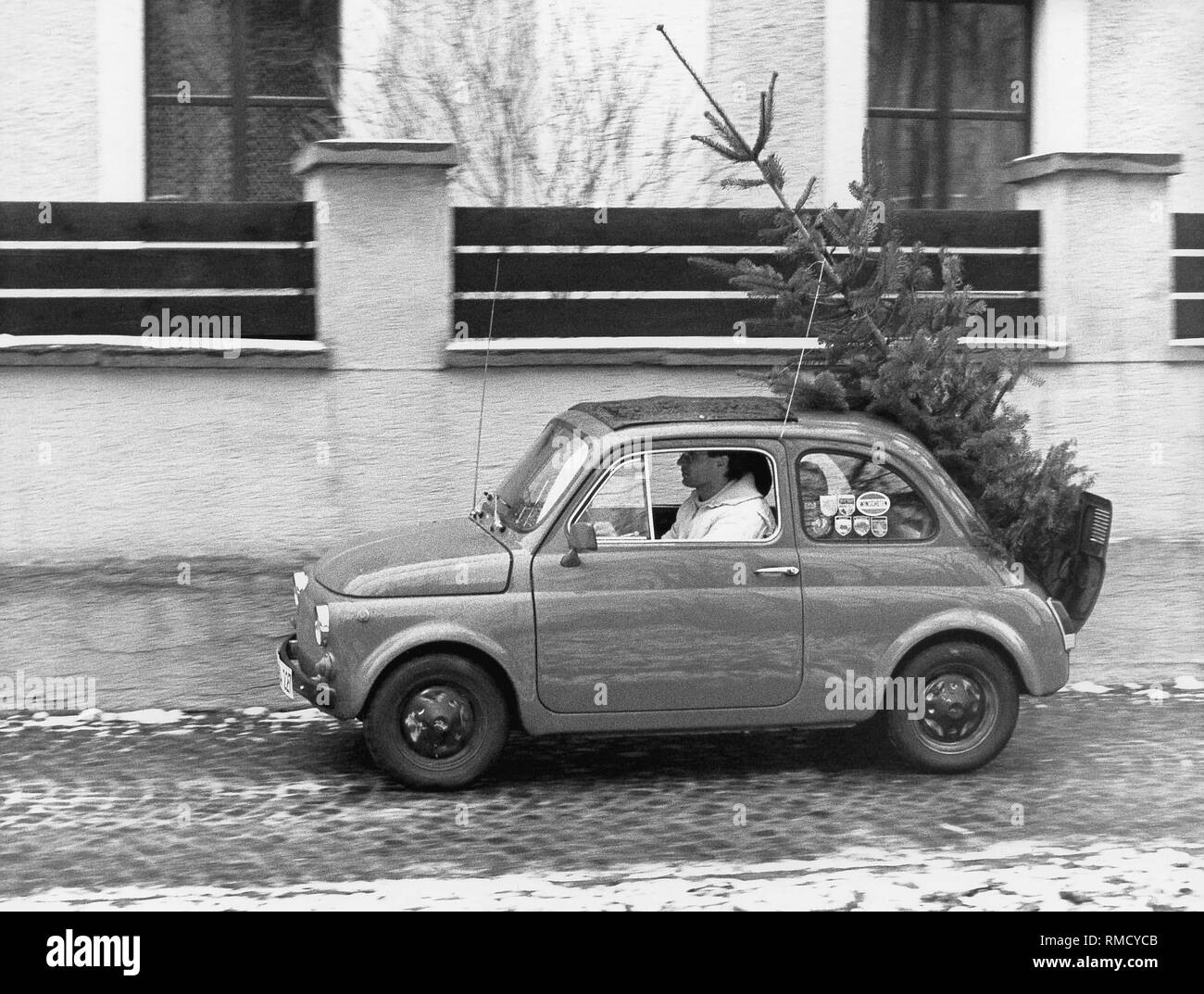 A Fiat 500 with a Christmas tree strapped to the roof. Stock Photo