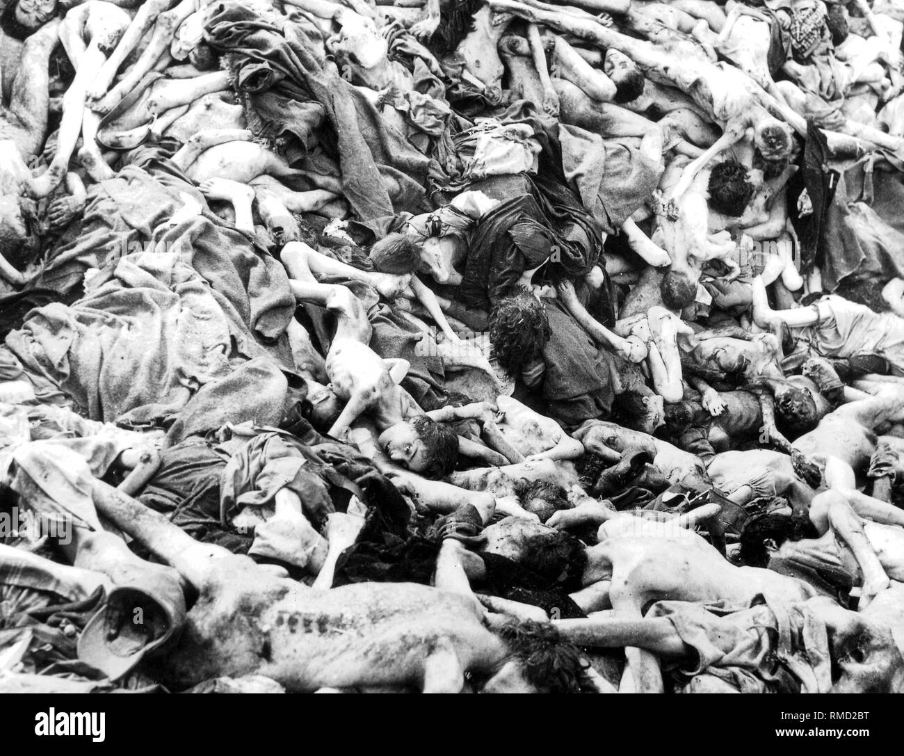 Concentration camp liberation: in spring 1945 the English encountered such scenes of horror in Bergen-Belsen. Stock Photo