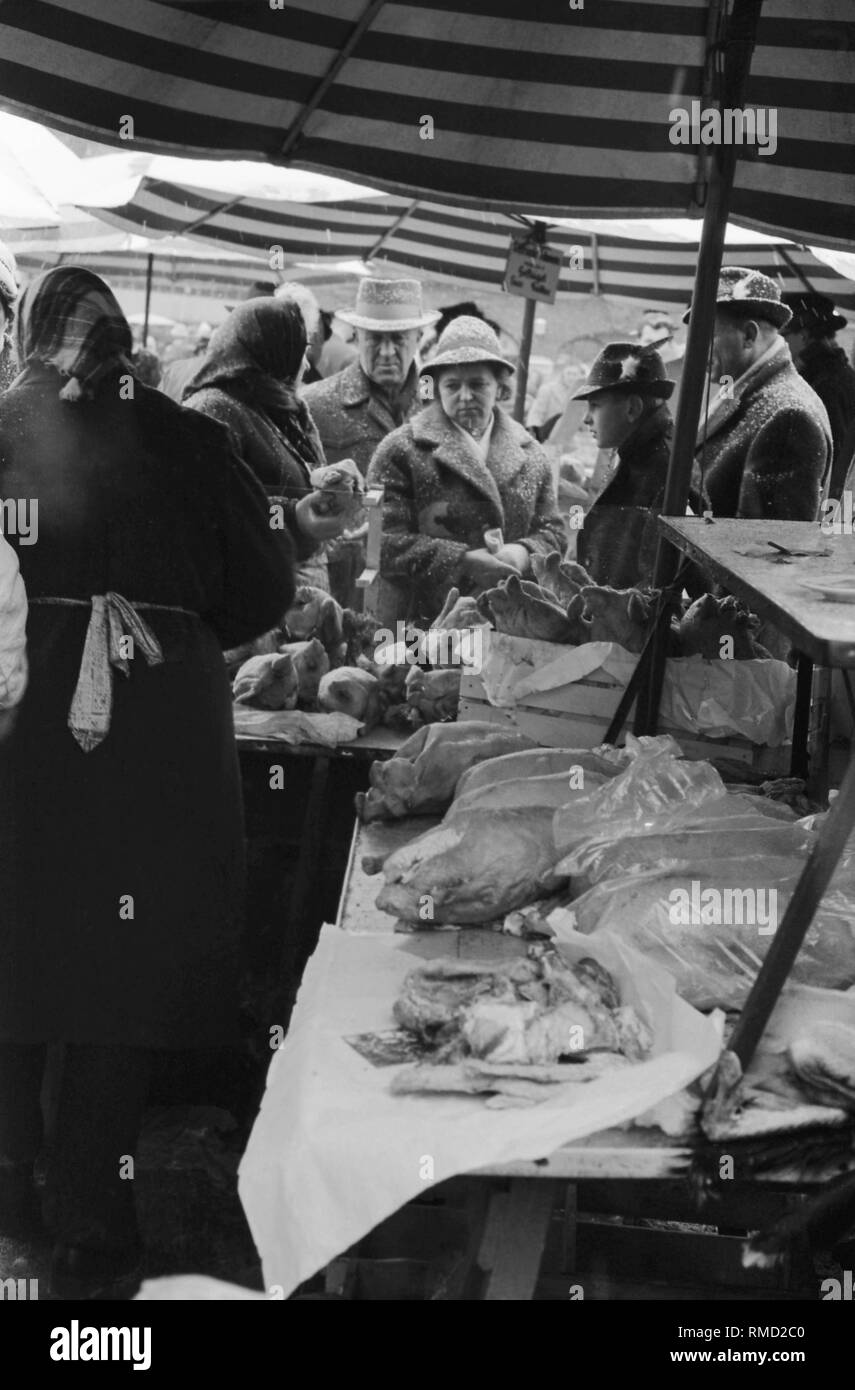 Customers are talking to a market woman at a poultry stall (among others goose meat) on the Munich Viktualienmarkt. Stock Photo