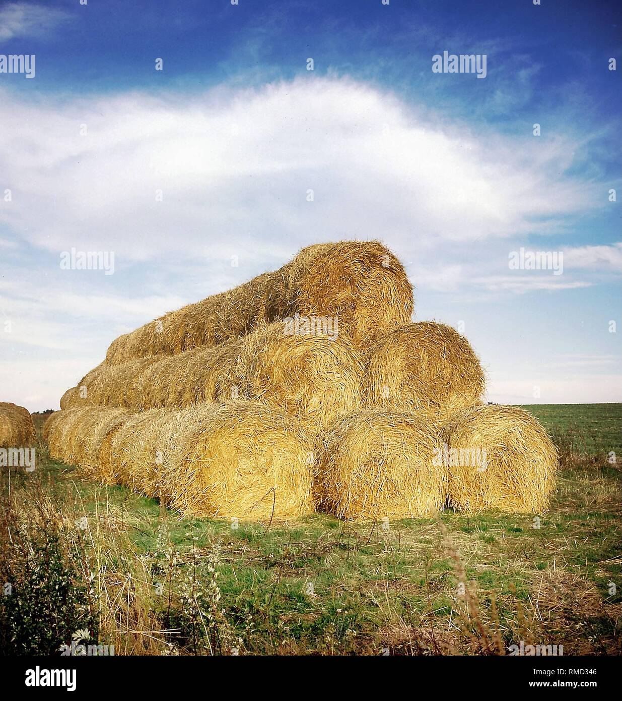 Straw bales after finished field work. Stock Photo