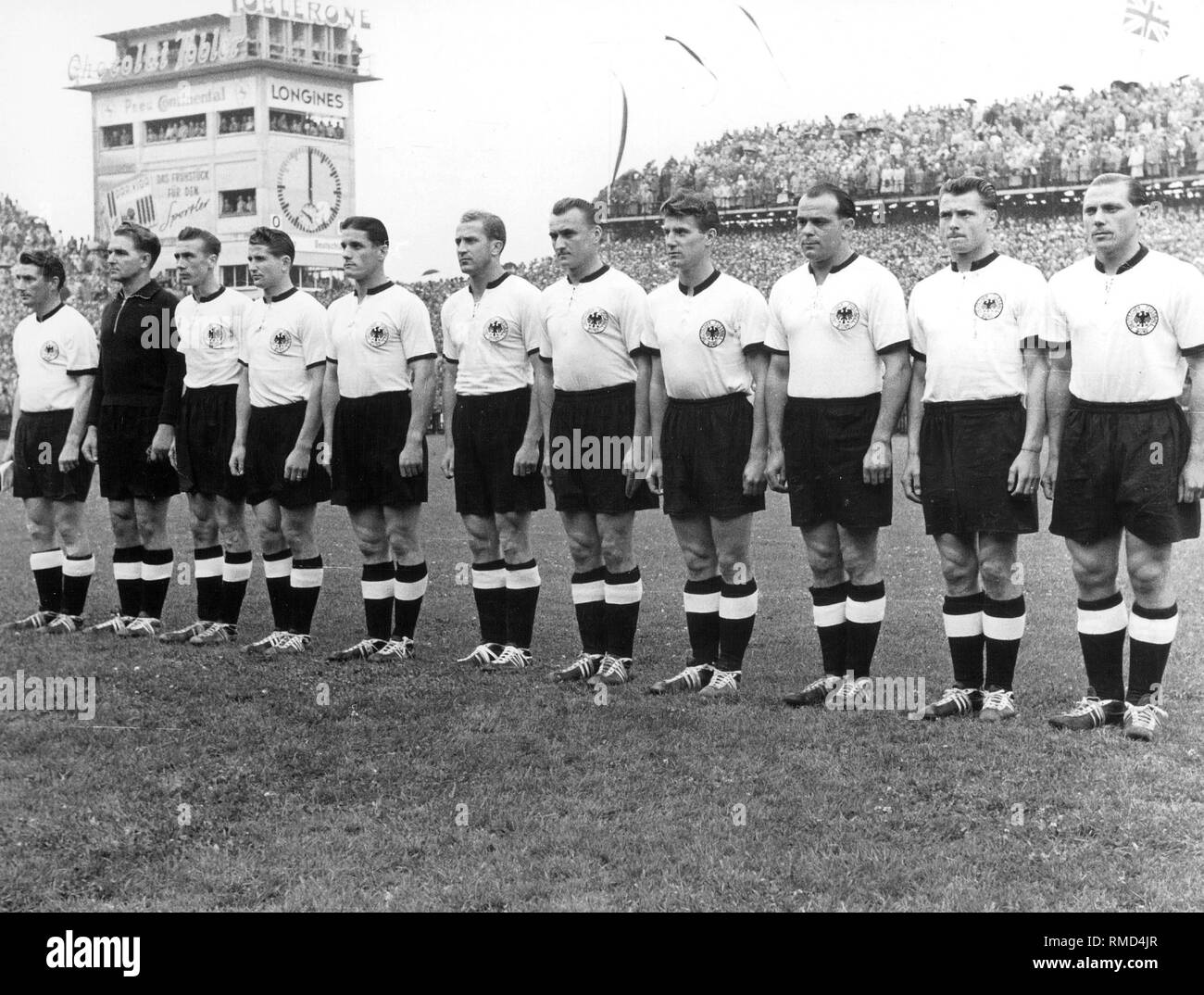 Domestic Cat. Tabby adult dressed in the jersey of the German National  Football Team with football and scoreboard Stock Photo - Alamy