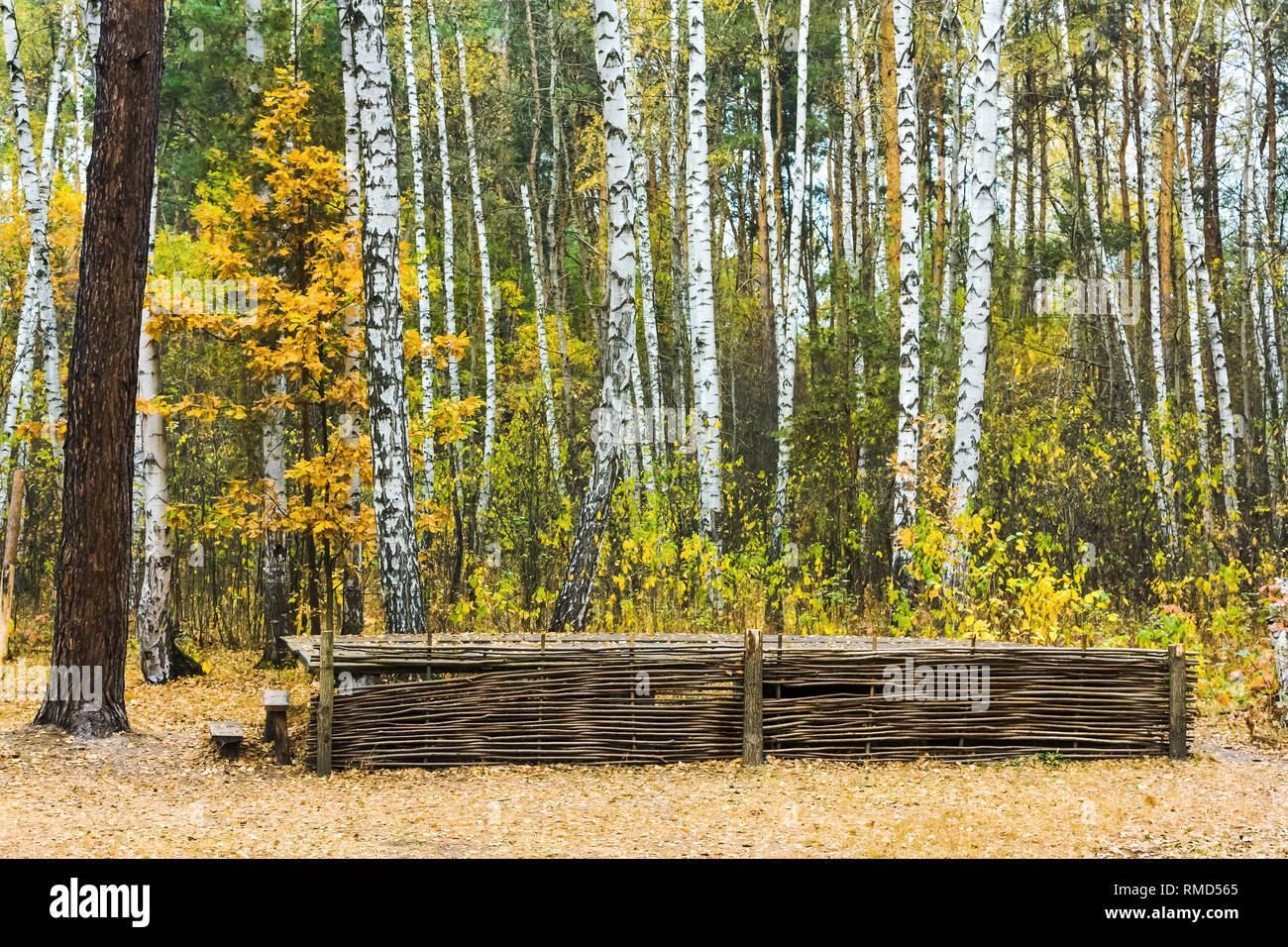 Autumn nature landscape on woodland park Stock Photo