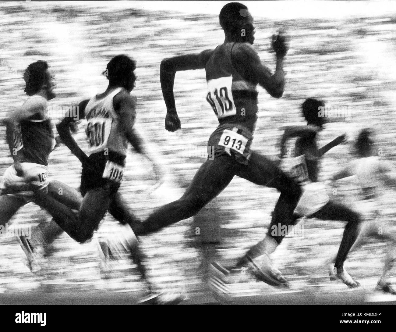 Runner during the race. Stock Photo