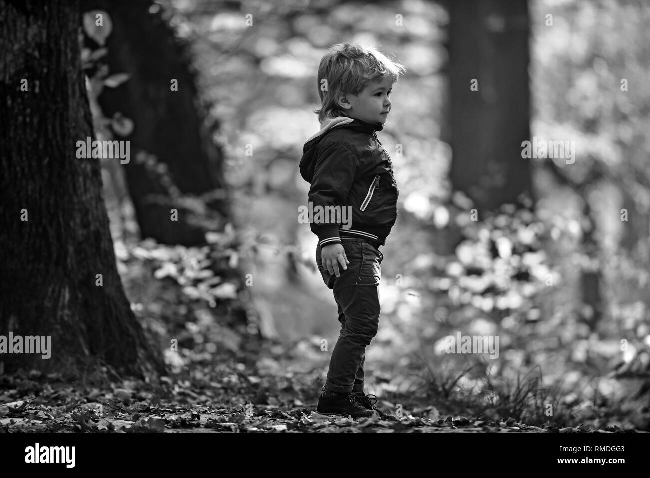 Small boy in autumn forest. Child play on fresh air outdoor. Little prince in fairy tale woods. Autumn vacation and camping. Activity and active rest Stock Photo