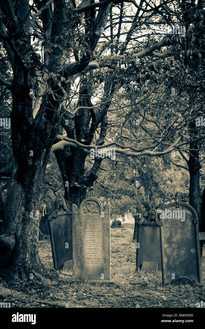 Camperdown Cemetery, a historic cemetery located on Church Street in Newtown inner suburb