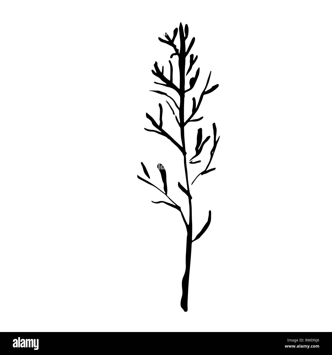 Tree silhouette. Hand drawn vector illustration Stock Vector Image ...