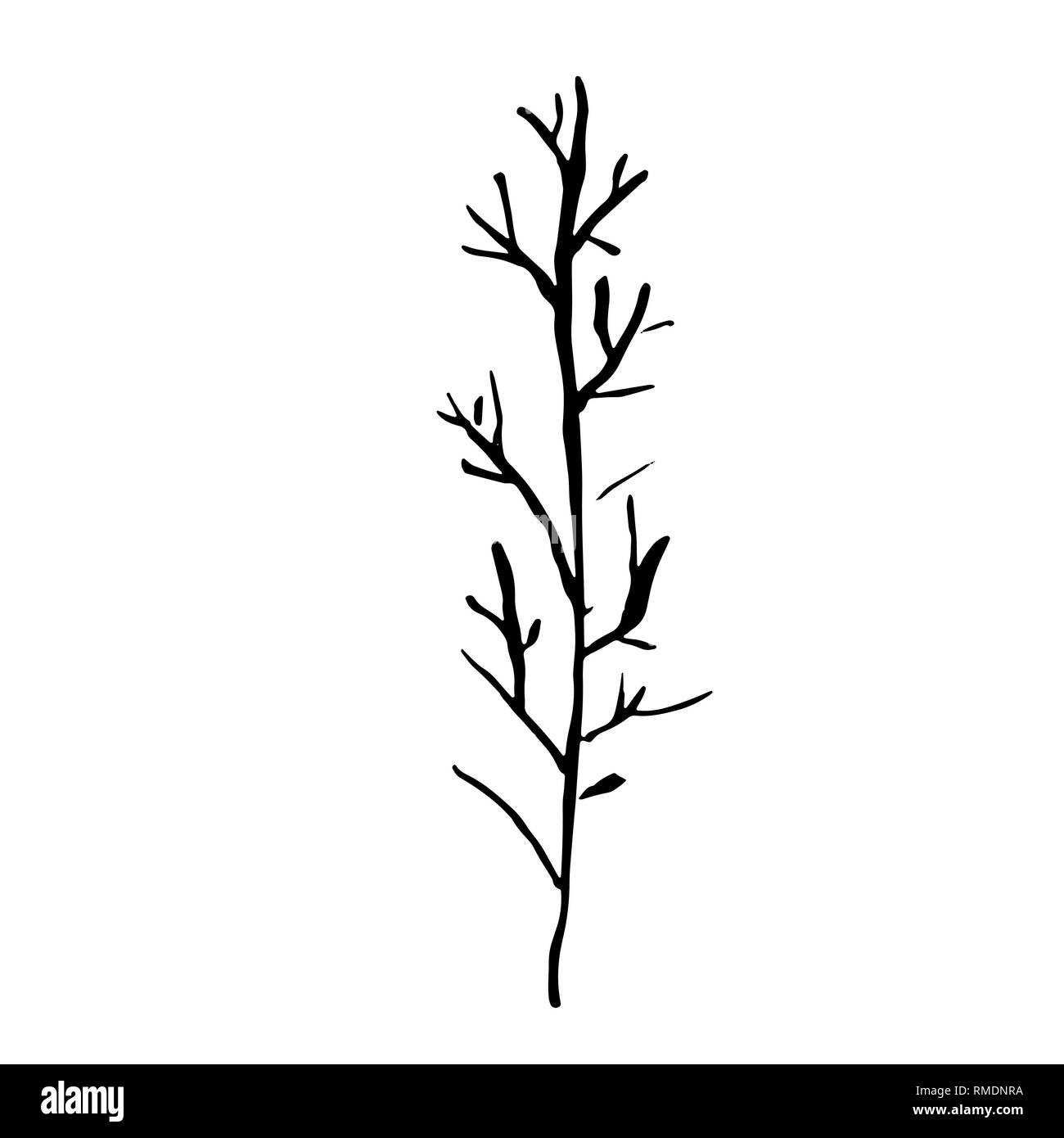Tree silhouette. Hand drawn vector illustration Stock Vector Image ...