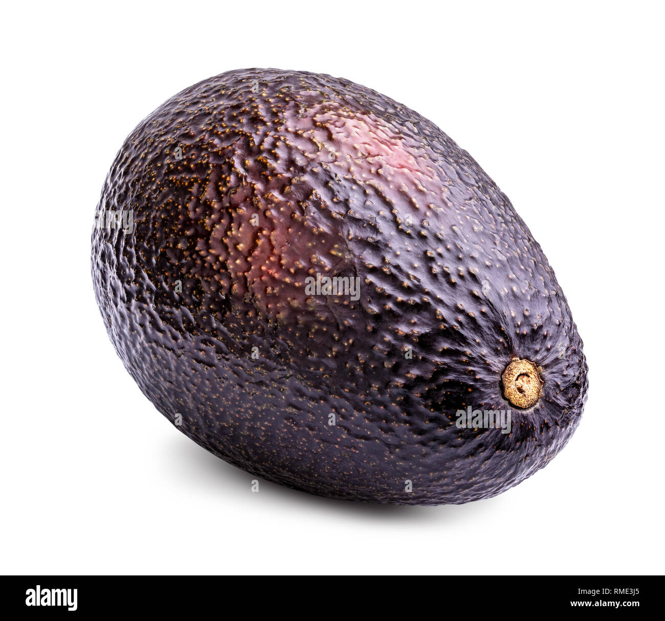 Fuerte avocado hi-res stock photography and images - Alamy