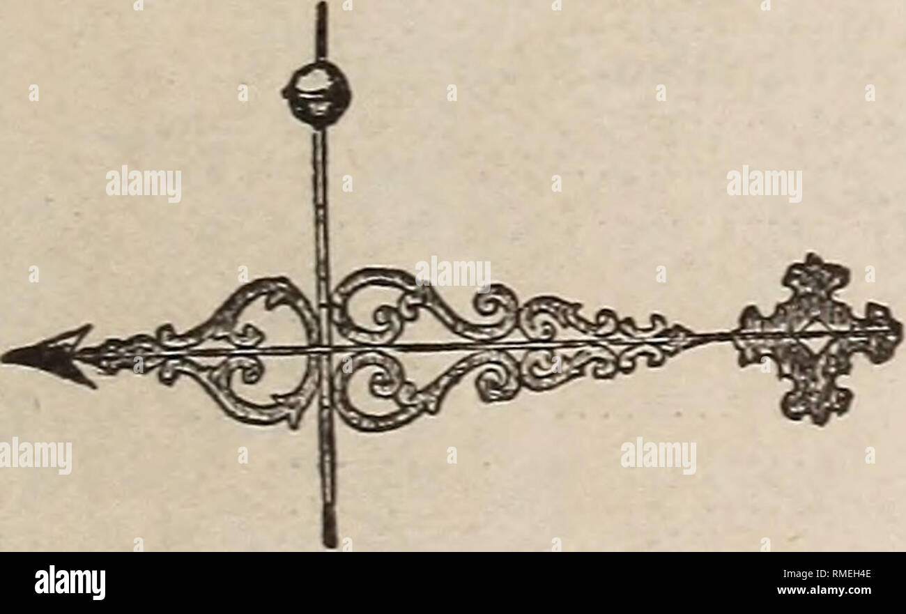 Rooster And Eagle High Resolution Stock Photography And Images Alamy