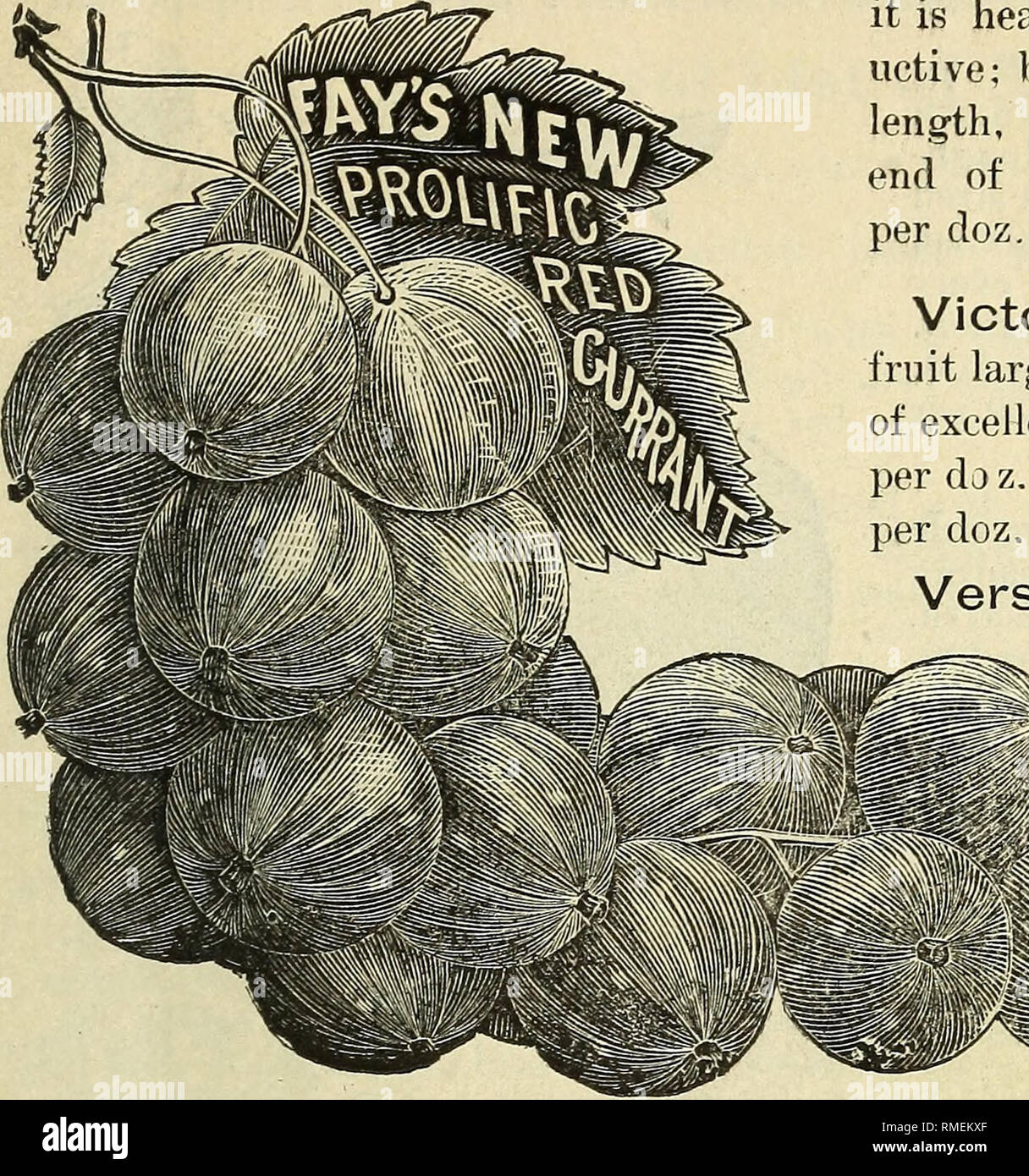 Annual Catalogue And Price List Small Fruits Trees Plants And Vines Fruit Amp Ornamental Trees Nurseries Horticulture West Virginia Catalogs Fruit Trees Seedlings Catalogs Fruit Seedlings Catalogs Try Our Small