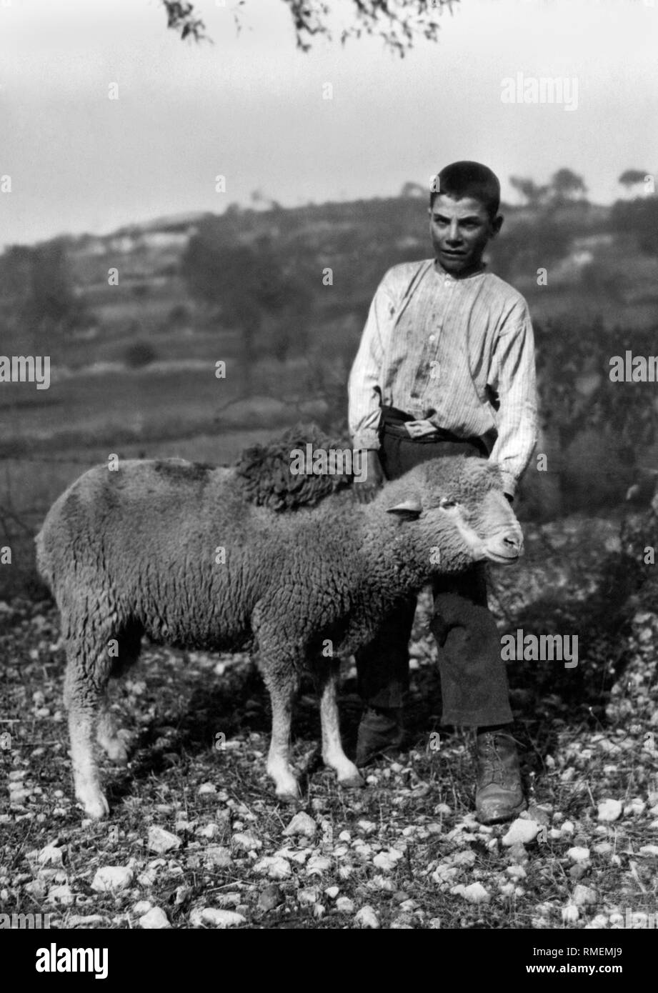 young shepherd with aries, barisciano, abruzzo, 1910-20 Stock Photo