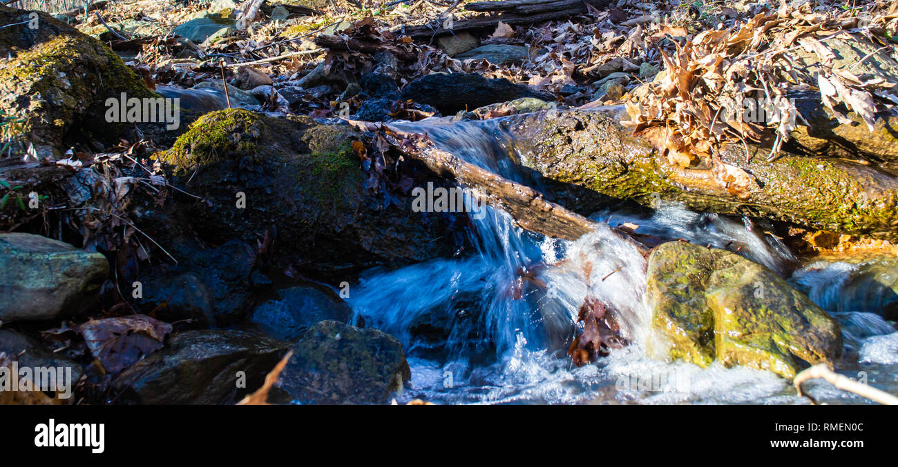 Water flowing over rocks and branches in a forest stream Stock Photo ...