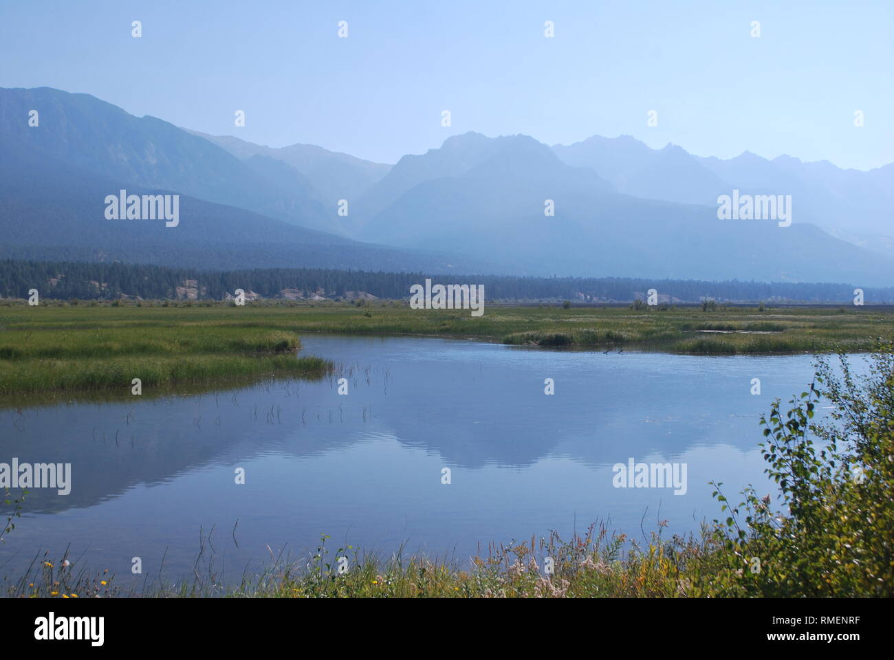 Reflection of the Rockies in the headwaters of the Columbia River in southeastern British Columbia add to the beauty of this important wetland. Stock Photo