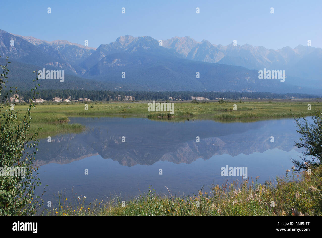 Reflection of the Rockies in the headwaters of the Columbia River in southeastern British Columbia add to the beauty of this important wetland. Stock Photo