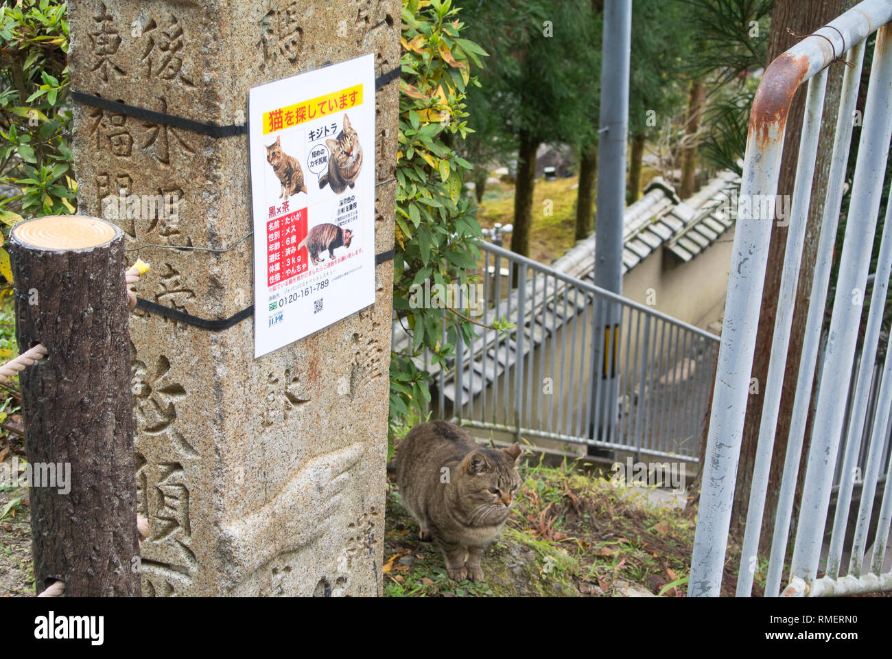 A poster for the Philosophical Cats, Philosopher's Walk, Kyoto, Japan Stock Photo
