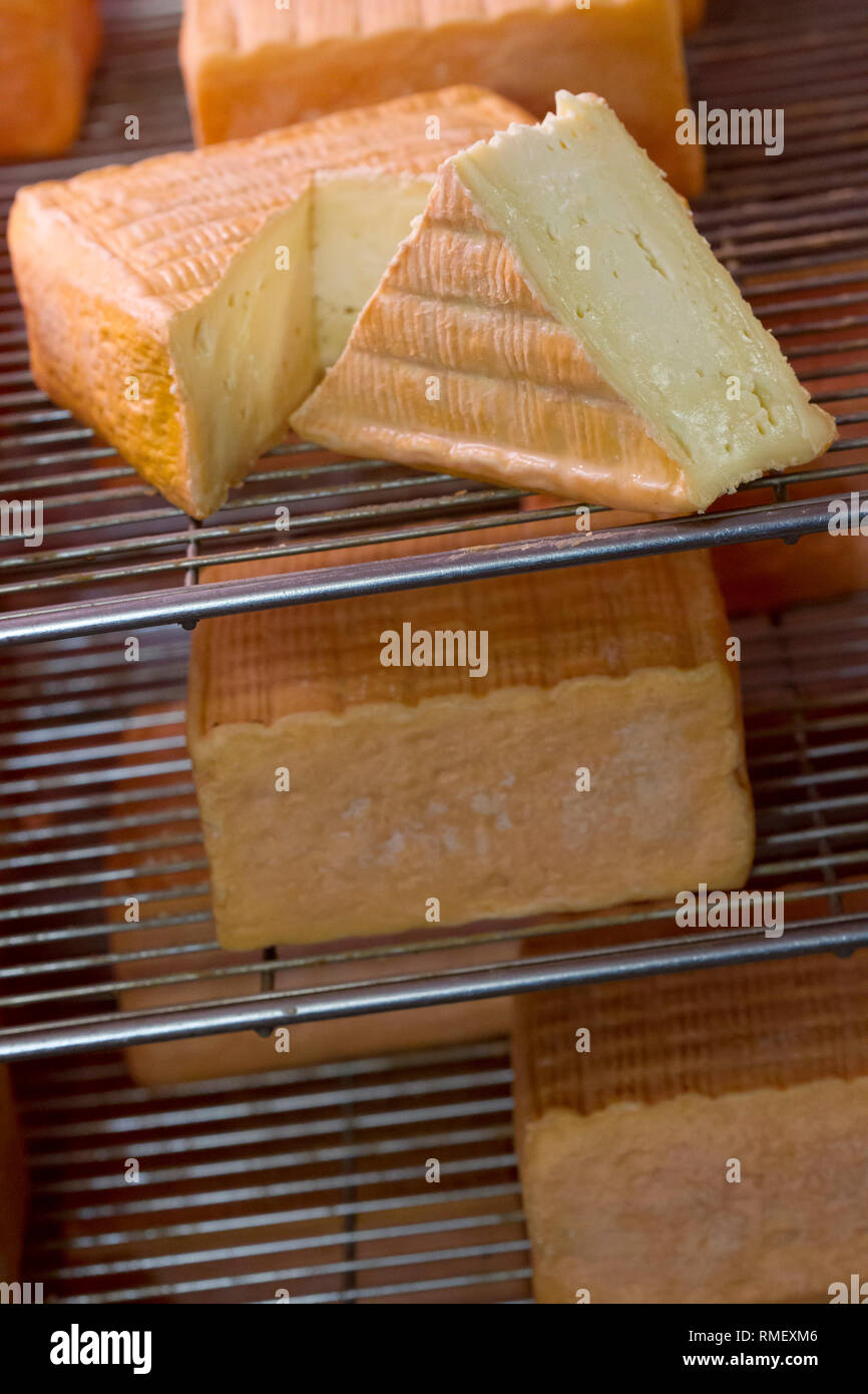 Maturing of Maroilles cheese *** Local Caption *** Stock Photo