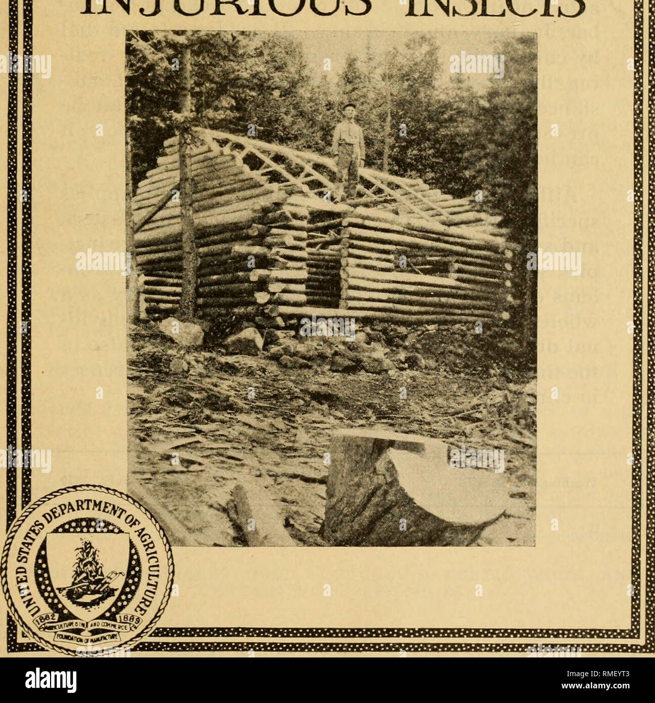 An Annotated List Of The Important North American Forest Insects