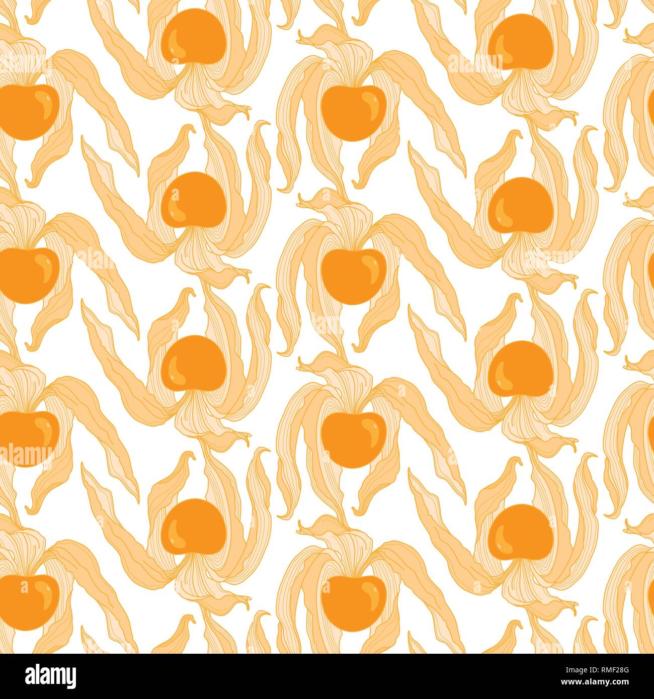 Physalis Hand Drawn Seamless Pattern on White with Orange Berries Stock Vector