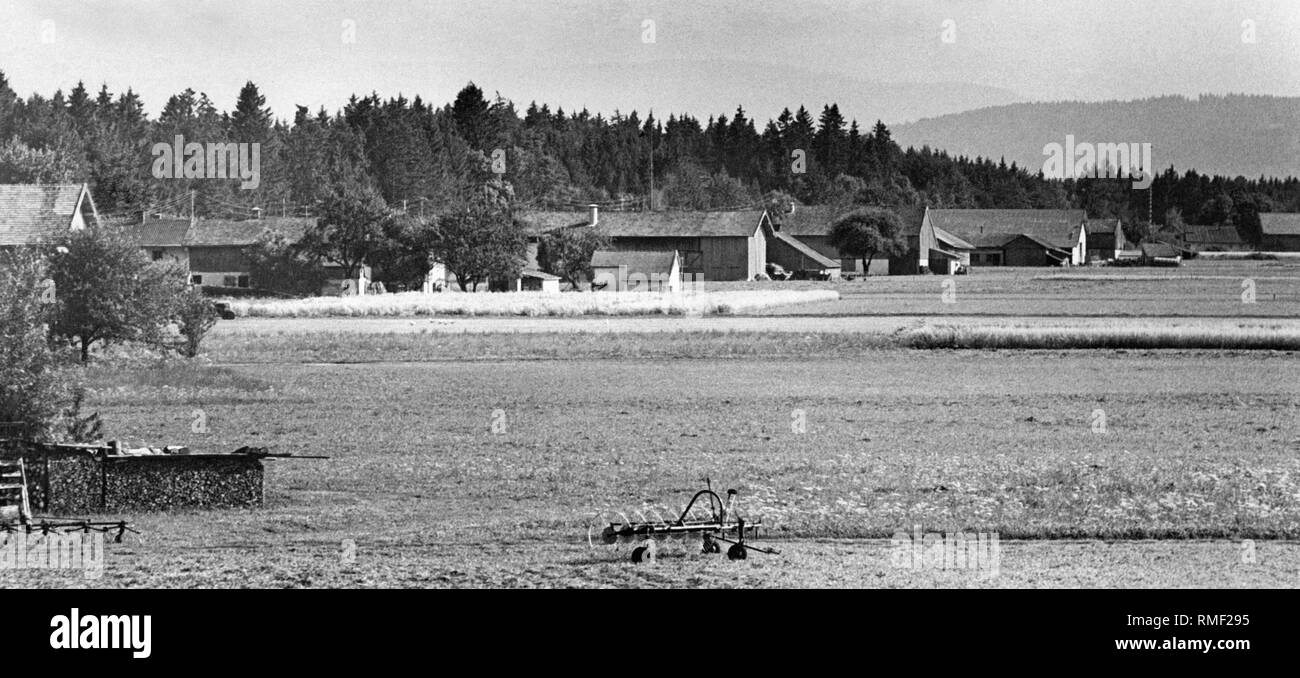 View of a settlement in the Hofoldinger Forst south of Munich. According to the plans of the Bavarian state government this area was be the location of the new large-scale airport. Due to the resistance of the population, the project failed and was relocated to Erdinger Moos. Stock Photo