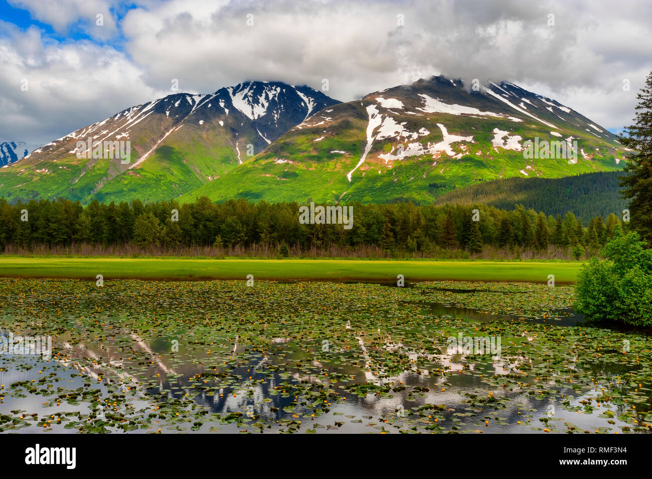 One of many scenic views along the Seward Highway in Chugach National Forest in Alaska.  The mountains reflect in the pond of wild lilies in June. Stock Photo