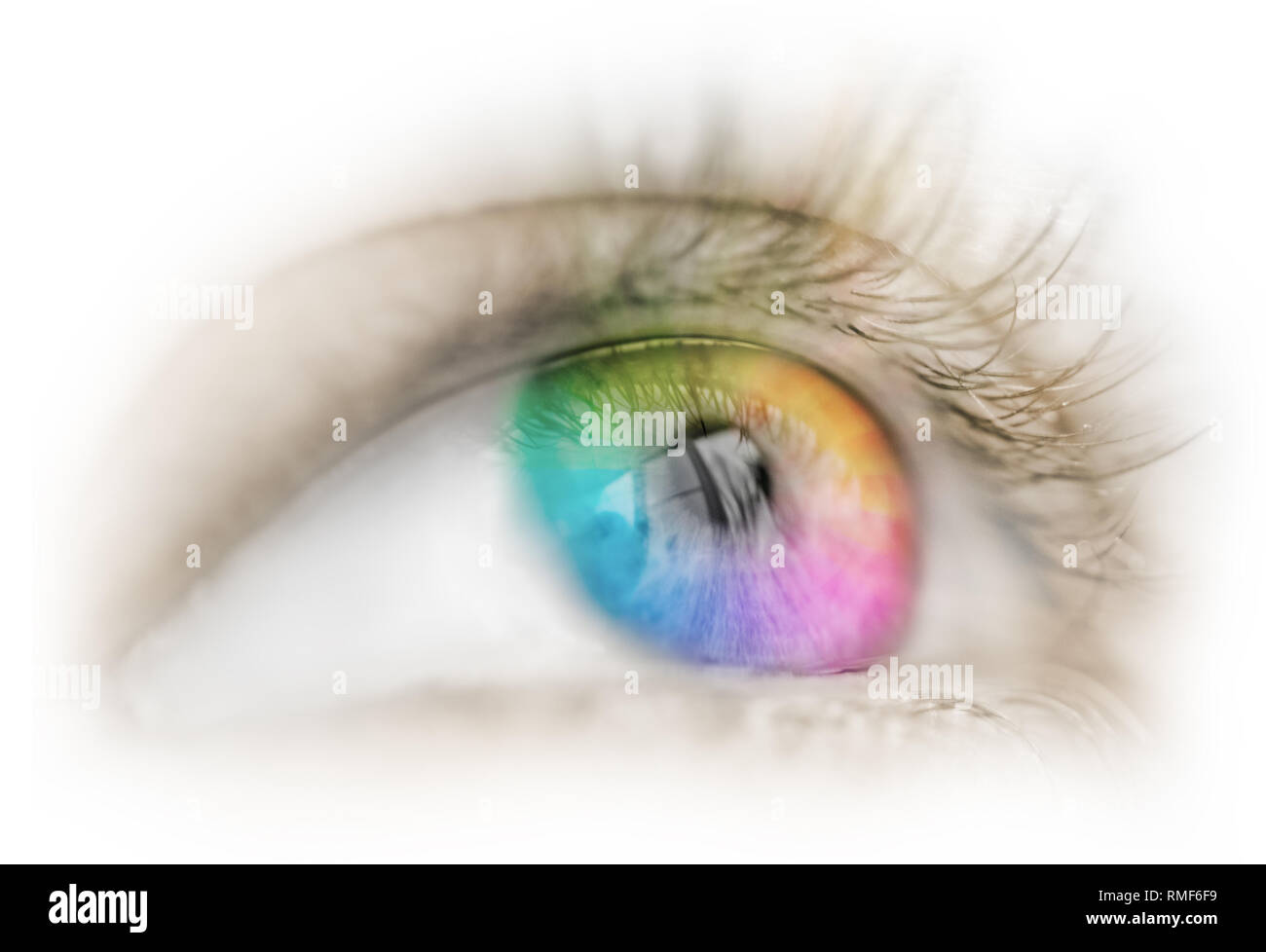 color eye sight concept isolated Stock Photo
