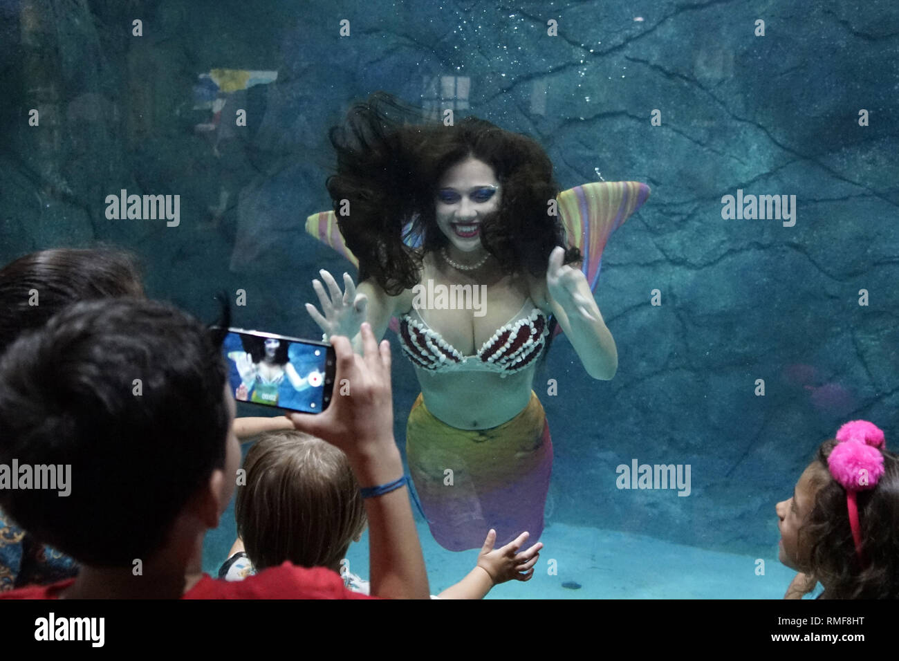 Del Rio Mermaid Rio Sea Aquarium High Resolution Stock Photography and Images - Alamy