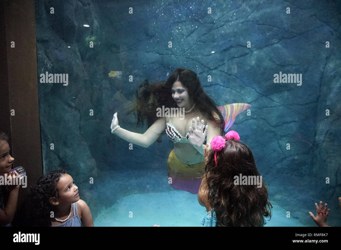 Del Rio Mermaid Rio Sea Aquarium High Resolution Stock Photography and Images - Alamy