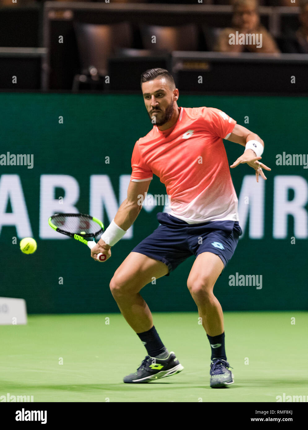 Rotterdam, Netherlands.14th Feb 2019. ABNAMRO World Tennis Tournament, Ahoy,  Damir Dzumhur (BIH) Credit: Henk Koster/Alamy Live News Stock Photo - Alamy