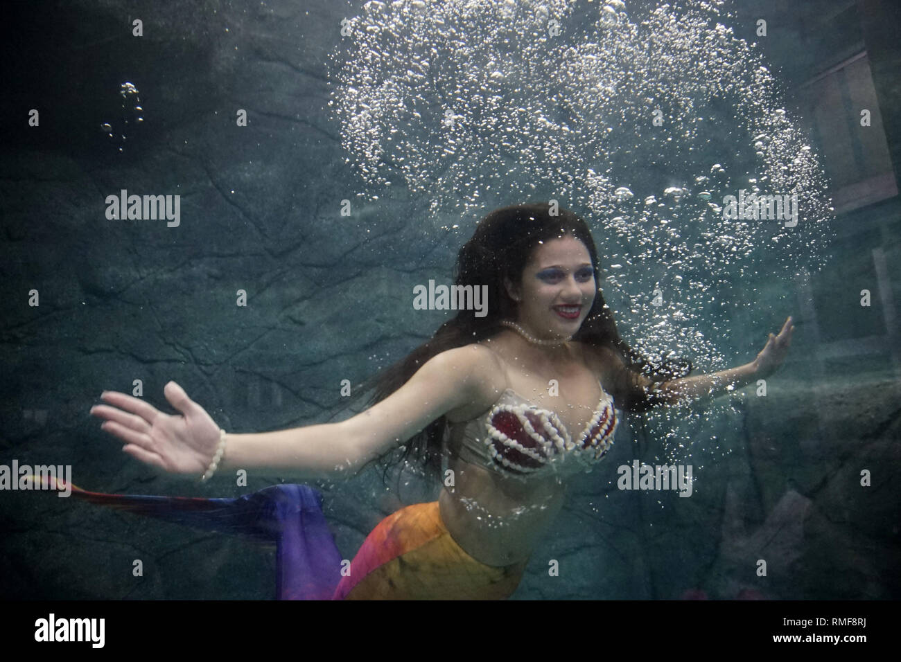 Del Rio Mermaid Rio sea aquarium hi-res stock photography and images - Alamy
