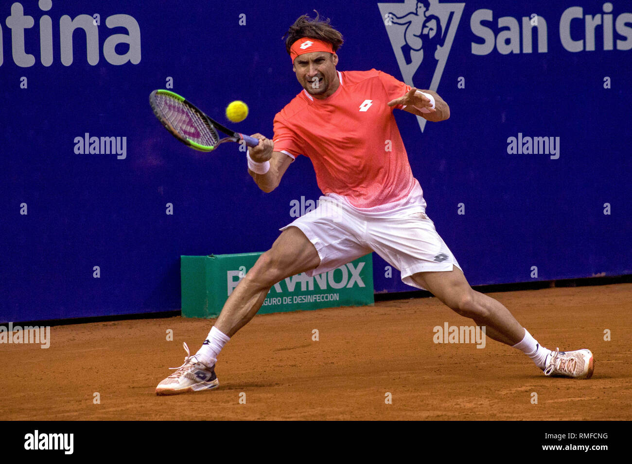 Buenos Aires, Federal Capital, Argentina. 14th Feb, 2019. The three-time Argentine Open champion, Spanish David Ferrer, says goodbye after being defeated by his compatriot Albert Ramos ViÃ±olas with a score of 6-3; 6 (9) -7 (11); 6-3, marking in this way the start of his retirement from professional tennis. Credit: Roberto Almeida Aveledo/ZUMA Wire/Alamy Live News Stock Photo