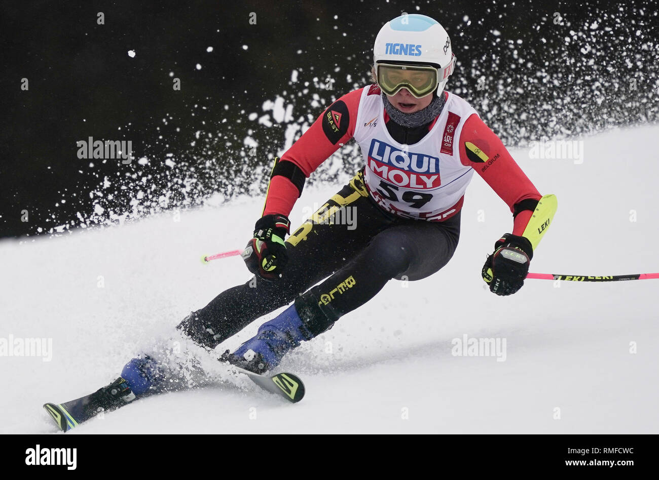 Are, Sweden. 14th Feb, 2019. Alpine skiing, world championship, giant slalom, women, 1st round: Kim Vanreusel from Belgium on the race track. Credit: Michael Kappeler/dpa/Alamy Live News Stock Photo