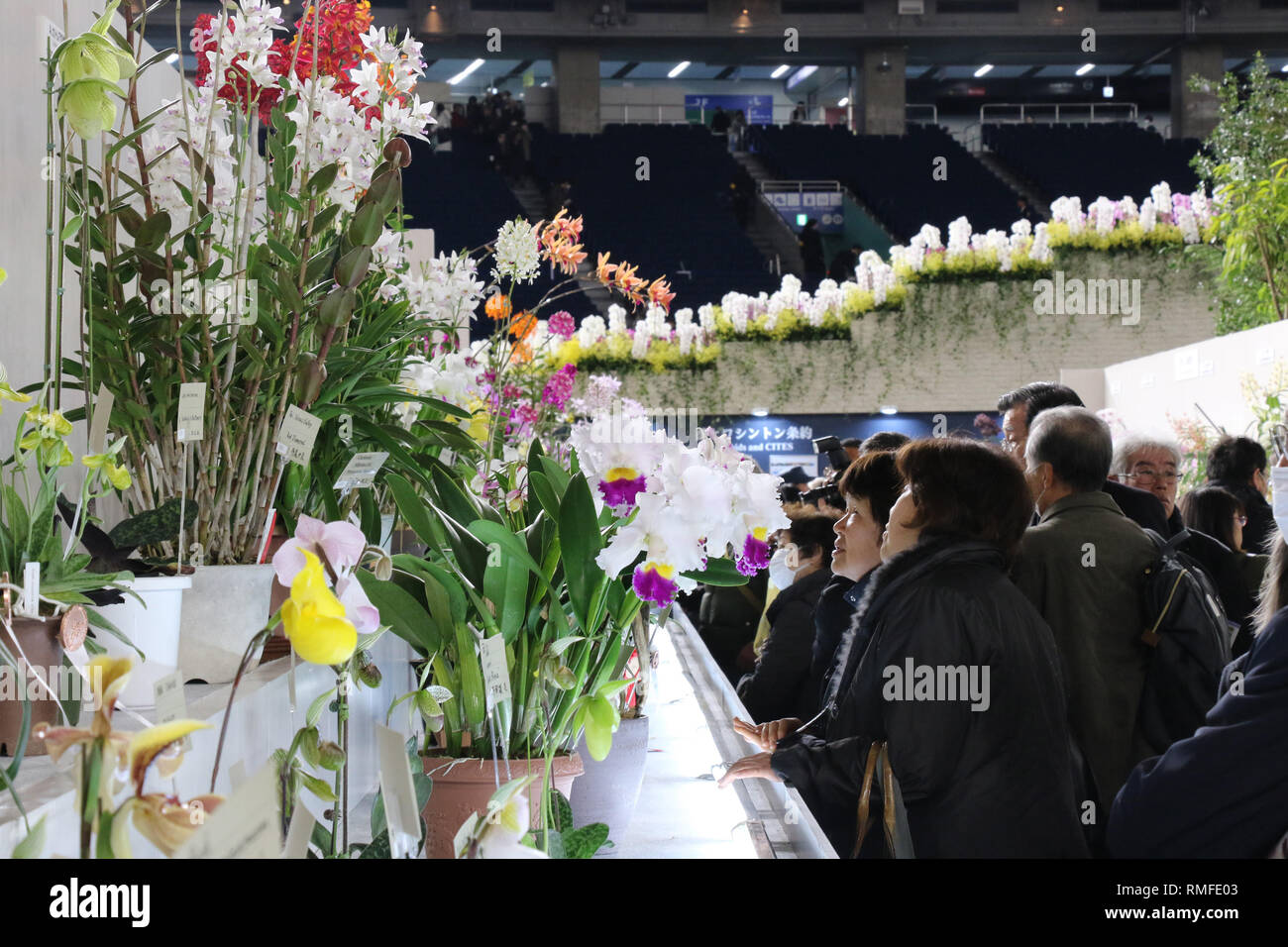 Tokyo, Japan. 15th Feb, 2019. People admire colorful orchids at 'JGP International Orchid and Flower Show' at the Tokyo Dome stadium in Tokyo on Friday, February 15, 2019. The annual flower festival with 3,000 types, 100,000 plants orchids will be held from February 15 through 22. Credit: Yoshio Tsunoda/AFLO/Alamy Live News Stock Photo